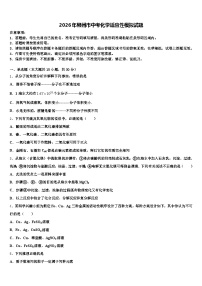 2026年郴州市中考化学适应性模拟试题（含答案解析）