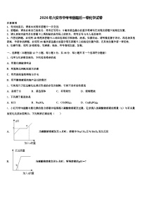 2026年六安市中考考前最后一卷化学试卷（含答案解析）