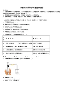 荆州市2026年中考二模化学试题（含答案解析）
