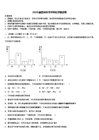2026届嘉峪关市中考化学模试卷（含答案解析）