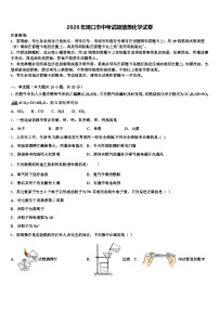 2026年周口市中考试题猜想化学试卷（含答案解析）