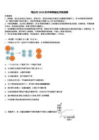 邢台市2026年中考押题化学预测卷（含答案解析）