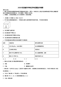 2026年安顺市中考化学考试模拟冲刺卷（含答案解析）