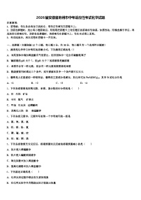 2026届安徽省池州市中考适应性考试化学试题（含答案解析）