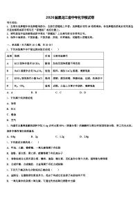 2026届黑龙江省中考化学模试卷（含答案解析）