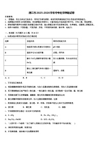 湛江市2025-2026学年中考化学押题试卷（含答案解析）