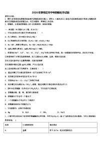 2026年攀枝花市中考四模化学试题（含答案解析）