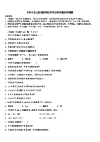 2026年山东省初中化学毕业考试模拟冲刺卷（含答案解析）