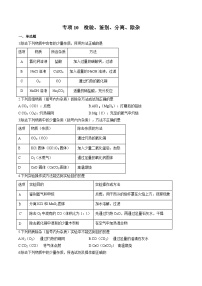 中考化学二轮复习核心考点专项拓展训练专项10 检验、鉴别、分离、除杂（2份，原卷版+解析版）
