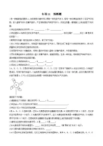 中考化学二轮复习核心考点专项拓展训练专项11 推断题（2份，原卷版+解析版）