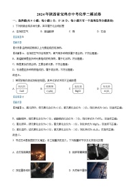 2024年陕西省宝鸡市中考模拟检测化学试题（解析版）