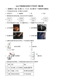 2024年陕西省宝鸡市中考模拟检测化学试题（原卷版）
