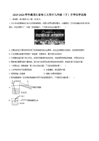 2025-2026学年黑龙江省哈工大附中九年级（下）开学化学试卷-自定义类型