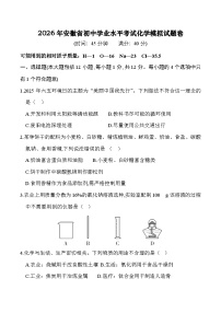 2026年安徽中考模拟化学测试卷含答案
