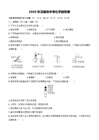 2026年河南省中考模拟化学测试卷含答案
