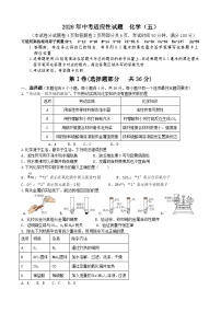 2026年四川绵阳市中考模拟化学测试卷含答案5