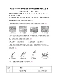 2026年四川省初中学业水平考试化学模拟试卷(三)