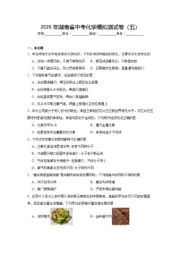 2026年湖南省中考化学模拟测试卷（五）