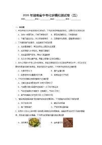 2026年湖南省中考化学模拟测试卷（五）
