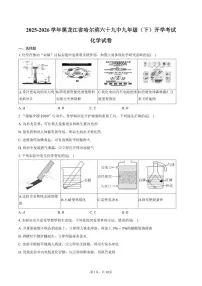 2025-2026学年黑龙江省哈尔滨市第六十九中学九年级（下）开学化学试卷（含答案）