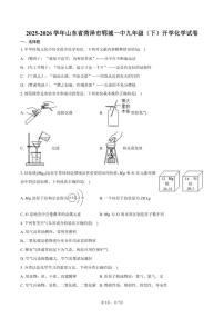 2025-2026学年山东省菏泽市郓城一中九年级（下）开学化学试卷（含答案）