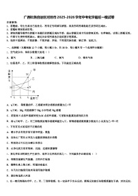 广西壮族自治区河池市2025-2026学年中考化学最后一模试卷（含答案解析）