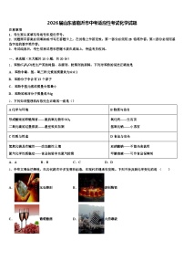 2026届山东省临沂市中考适应性考试化学试题（含答案解析）