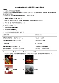 2026届山东省临沂市中考适应性考试化学试题（含答案解析）