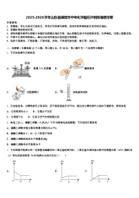 2025-2026学年山东省淄博市中考化学最后冲刺浓缩精华卷（含答案解析）