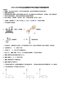 2025-2026学年山东省淄博市中考化学最后冲刺浓缩精华卷（含答案解析）