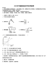 2026年宁夏回族自治区中考化学模试卷（含答案解析）