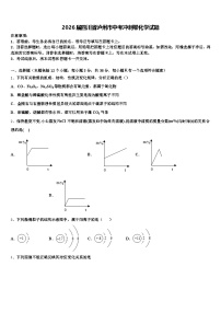 2026届四川省泸州市中考冲刺卷化学试题（含答案解析）