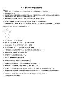 2026年肇庆市中考化学押题试卷（含答案解析）