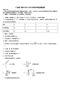 广东省广州市2025-2026学年中考化学模试卷（含答案解析）