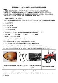 青海省西宁市2025-2026学年中考化学考试模拟冲刺卷（含答案解析）