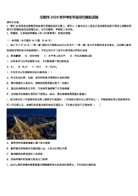 沈阳市2026年中考化学适应性模拟试题（含答案解析）
