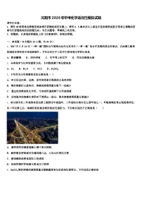 沈阳市2026年中考化学适应性模拟试题（含答案解析）