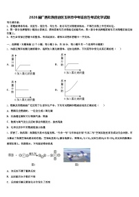 2026届广西壮族自治区玉林市中考适应性考试化学试题（含答案解析）