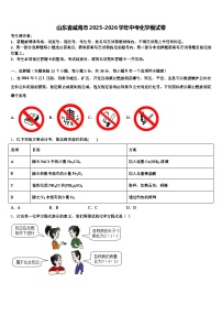 山东省威海市2025-2026学年中考化学模试卷（含答案解析）