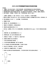 2025-2026学年陕西省中考适应性考试化学试题（含答案解析）