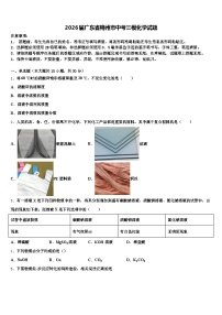 2026届广东省梅州市中考三模化学试题（含答案解析）