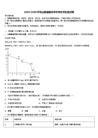 2025-2026学年山西省临汾市中考化学仿真试卷（含答案解析）