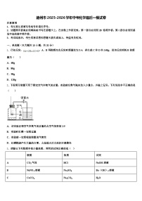 德州市2025-2026学年中考化学最后一模试卷（含答案解析）