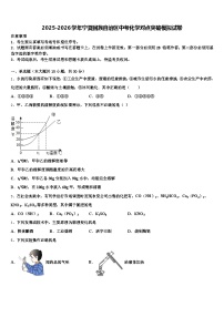 2025-2026学年宁夏回族自治区中考化学对点突破模拟试卷（含答案解析）