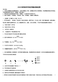 2026年蚌埠市中考化学模拟预测试卷（含答案解析）