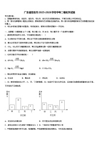 广东省茂名市2025-2026学年中考二模化学试题（含答案解析）