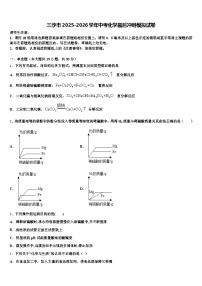 三沙市2025-2026学年中考化学最后冲刺模拟试卷（含答案解析）