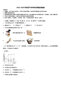 2025-2026学年遂宁市中考化学模拟预测题（含答案解析）