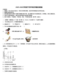 2025-2026学年遂宁市中考化学模拟预测题（含答案解析）