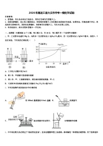2026年黑龙江省大庆市中考一模化学试题（含答案解析）